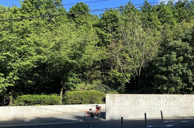 從瀨戶內海直島的一棟百年町家「安藤忠雄博物館」，正式揭開安藤忠雄的建築宇宙。