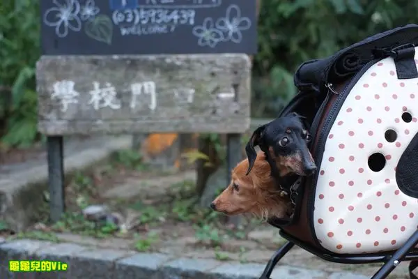 ∥龜龜爬爬走∥新竹 橫山 ~大山北月~ 美景 美食 無憂無慮的小秘境