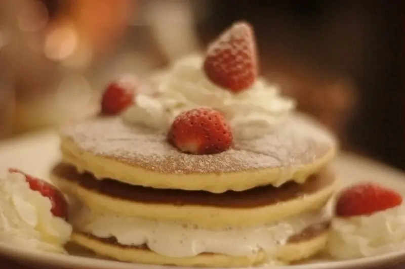 寵物餐廳～貓咪先生的朋友(內有實況貓咪拳擊轉播)