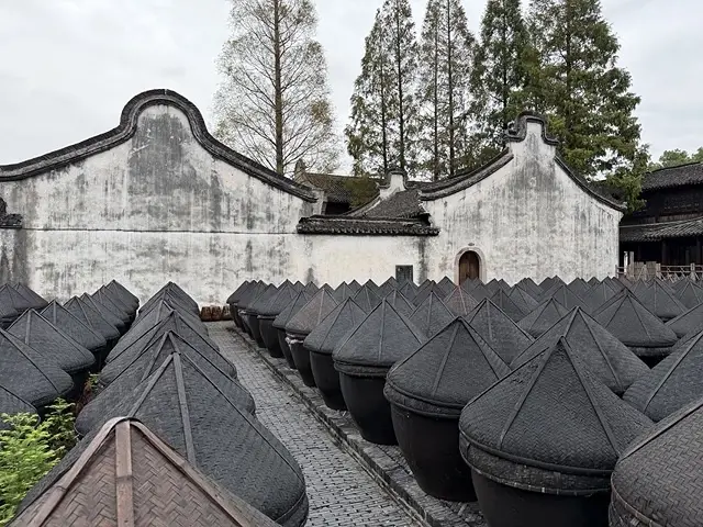 2025蟹逅故事江南D3. 10/20㊀📸烏鎮風景區、和合二