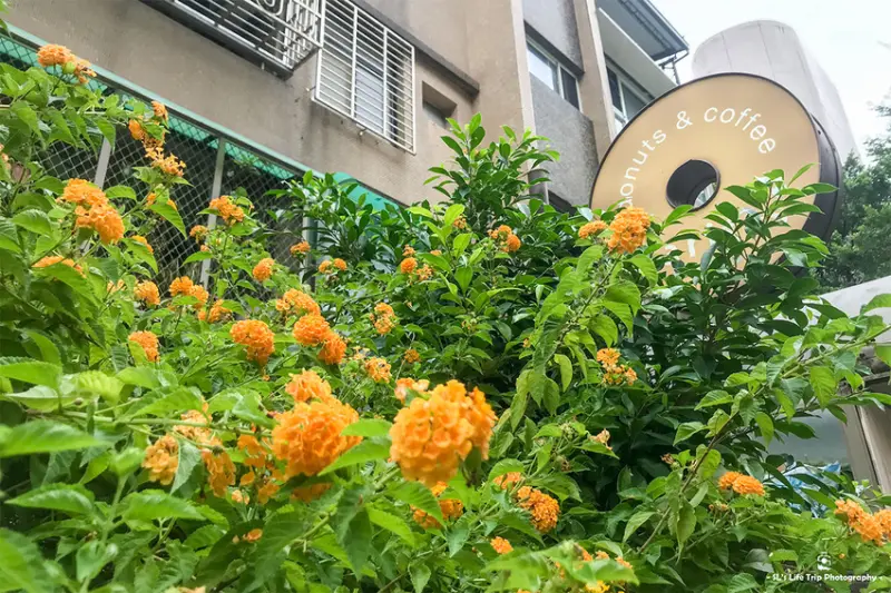 台北．松山 | Haritts Donuts & Coffee | 從東京飛到台灣，駐點於巷弄老宅中的日式手作甜甜圈