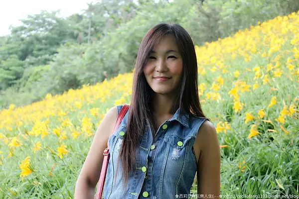 【台中。新社區】別懷疑，這裡不是東部，但卻有著黃澄澄金針花海滿山坡~沐心泉休閒農場 (花況5/11)