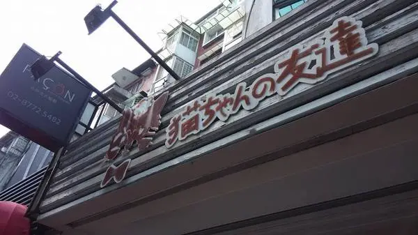 ＊台北～東區 來看小貓咪 喵喵喵！ 貓咪先生的朋友＊ 