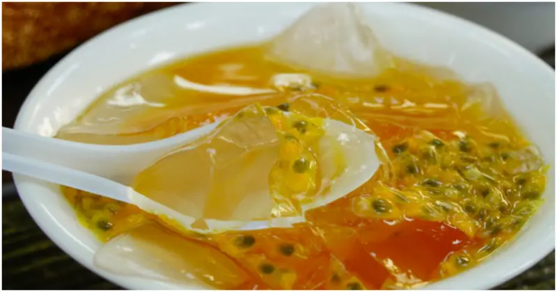 高雄愛玉冰推薦！庭園天然檸檬愛玉冰  手工現搓愛玉搭配綠意環境，高雄人消暑秘密基地。