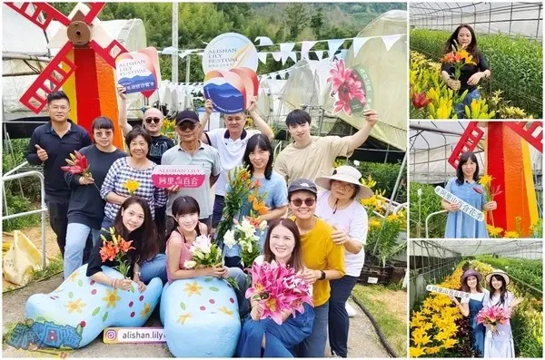 活動分享【2025阿里山百合花季】秋日浪漫的嘉義阿里山賞花之