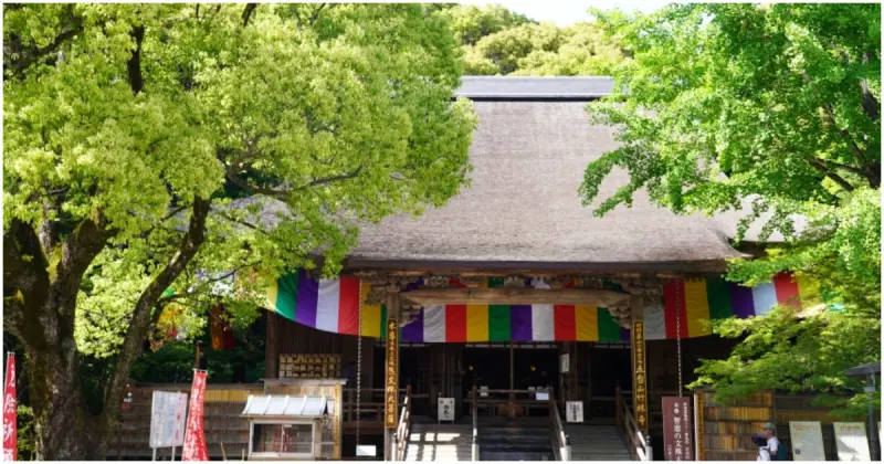 考生必訪高知景點！五台山竹林寺 順遊牧野植物園，來一場療癒身心的綠色旅行。