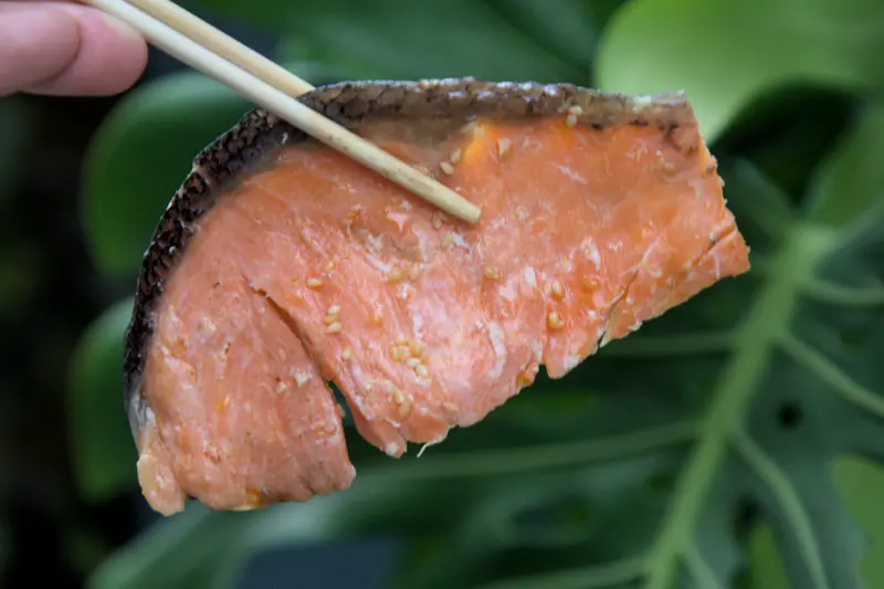 紅蕃茄客製化便當中的鮭魚排特寫，選用生魚片等級的鮭魚，經過恰當烹調，保留了鮭魚的鮮甜與油脂，口感細緻滑順，彷彿在口中融化，充滿奶油般的香氣，毫無腥味。