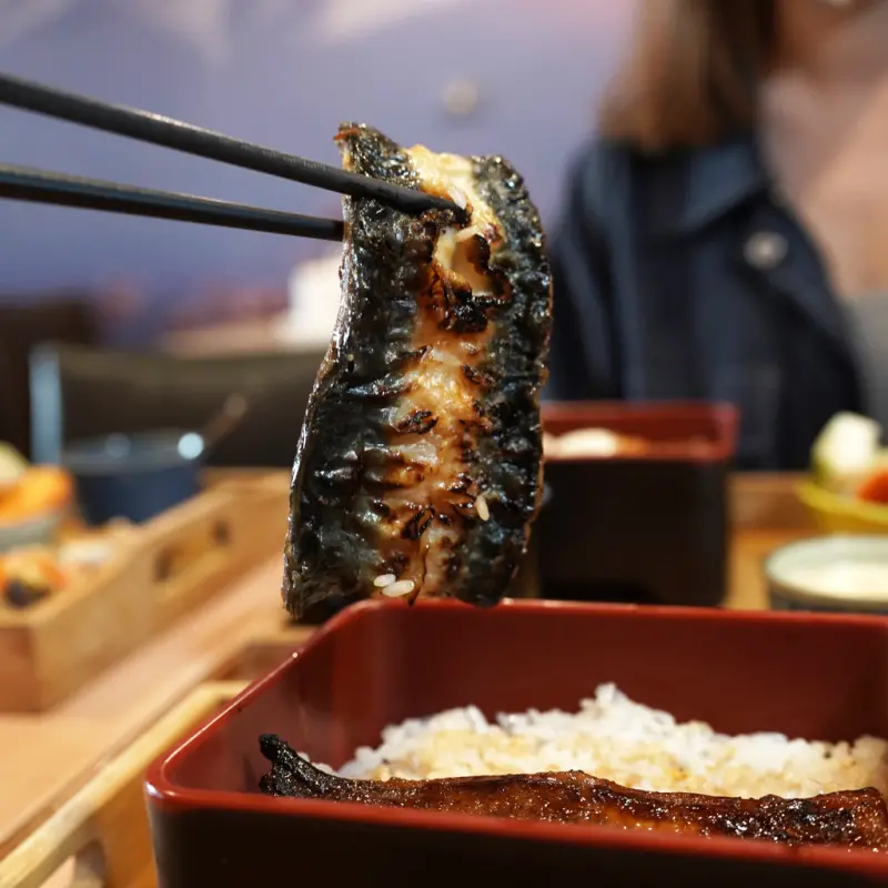 【台南鰻魚飯推薦】宝鰻鰻魚飯專賣店│關東醬燒VS關西白燒一次