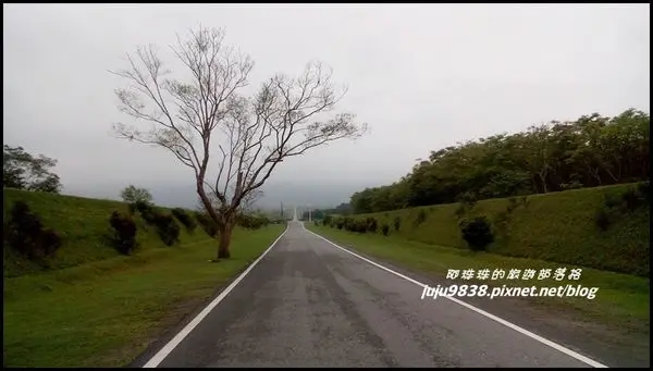 花蓮。山寨版的花蓮伯朗大道。花蓮富野度假酒店