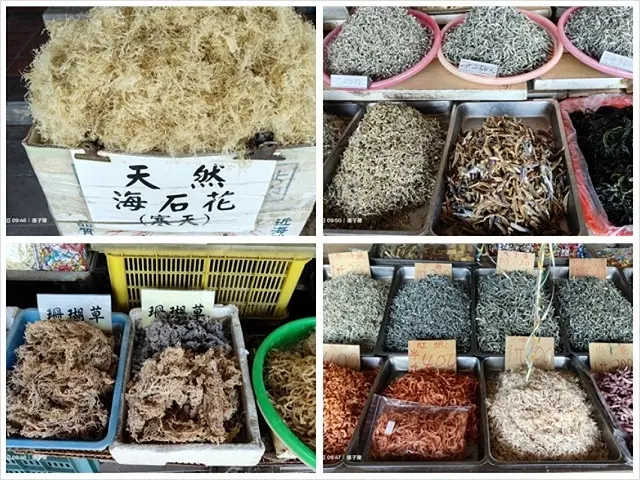 2025海與城的交響，北關海潮公園的半日散策；從濱海到信仰：