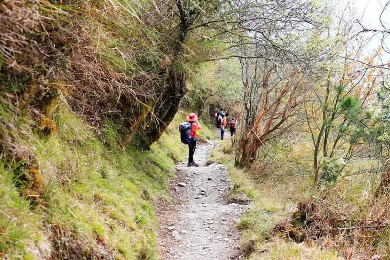 【百岳】玉山前峰(二刷)一日單攻《 3個小隊友(3歲7歲