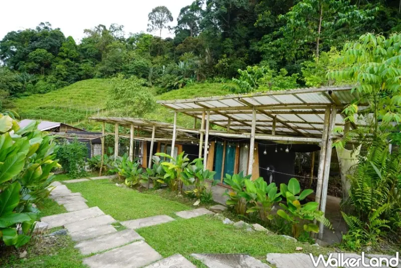 吉隆坡特色美食餐廳推薦！森芭梯田：山林間品嚐田園料理、體驗露營生活