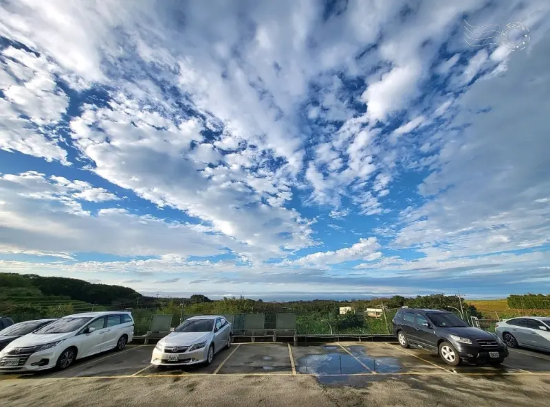 【石門珊瑚貝殼廟】