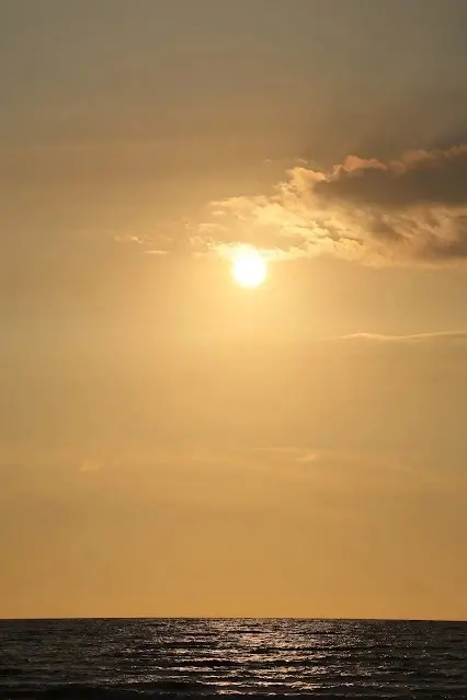 新屋濱海林蔭沙洲 (西濱公路) - 夕陽 - 太陽