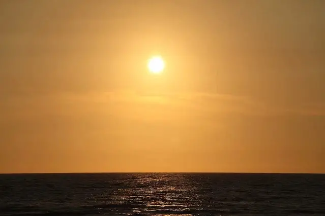 新屋濱海林蔭沙洲 (西濱公路) - 夕陽 - 太陽