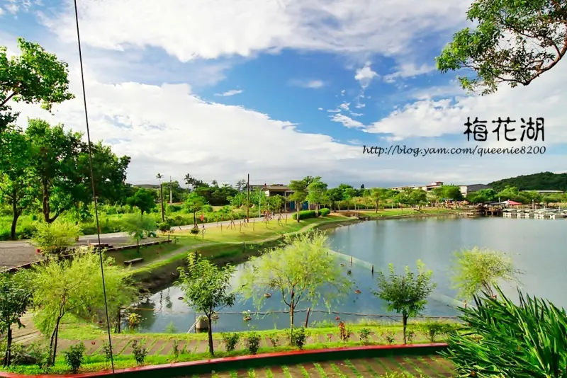 腳踩協力車 暢遊梅花湖