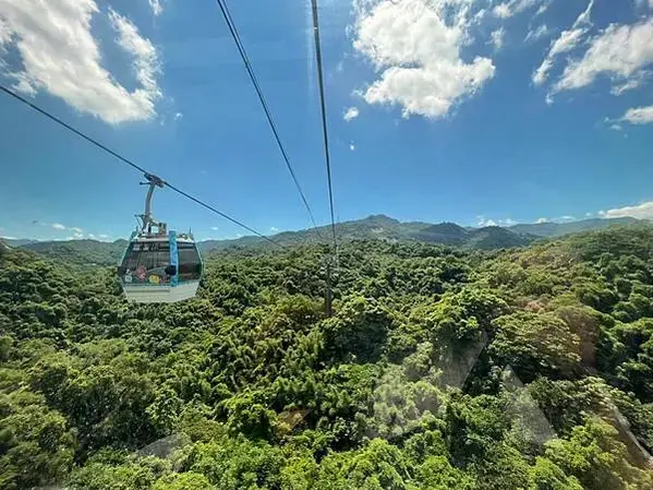 LINE_ALBUM_20220809貓空_220813_19