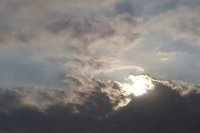 新屋濱海林蔭沙洲 (西濱公路)