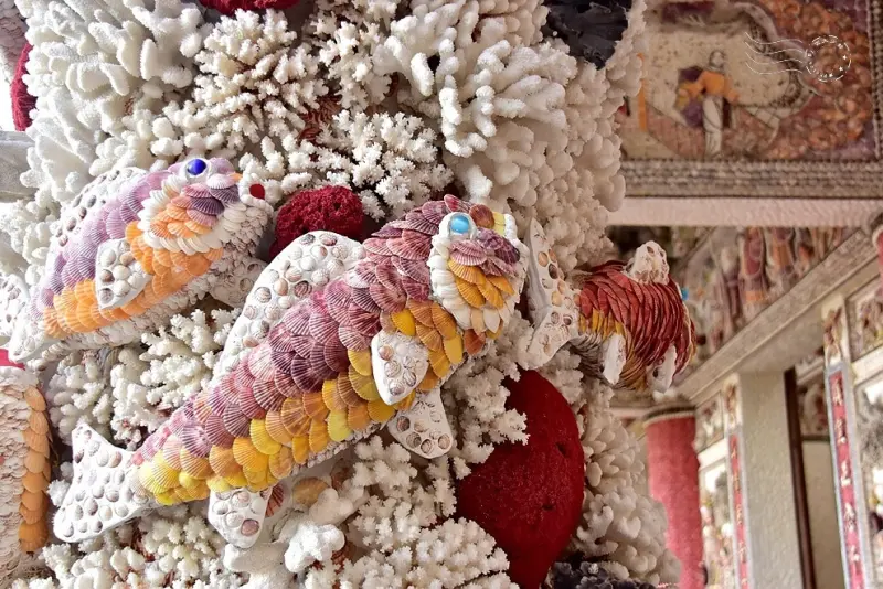 【石門珊瑚貝殼廟】