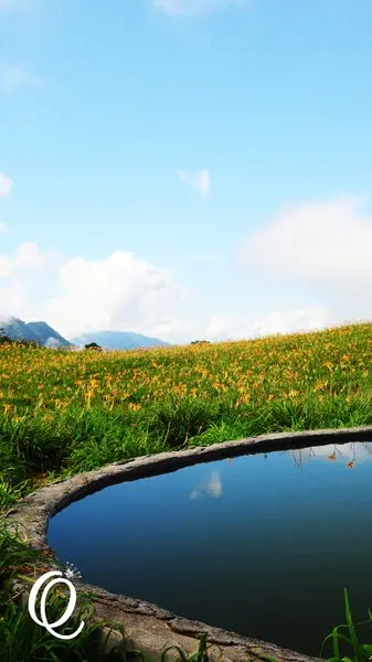 花蓮．六十石山．與一億朵金針花海相遇