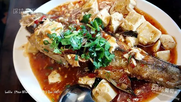 動物園深坑一日遊X深坑老街||大樹下 豆腐三吃 & 深坑阿珠的店吃芋圓 (文後一日遊安排行程)