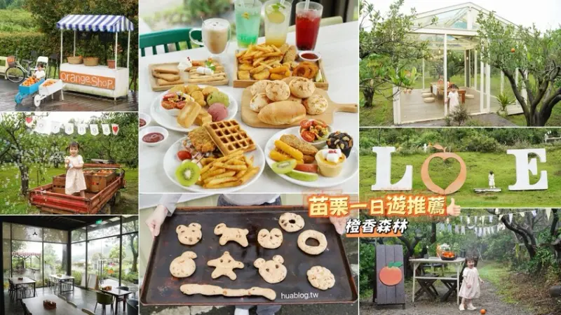 苗栗一日遊行程推薦！「橙香森林」一年四季都能讓你享受自然景觀與豐富手作體驗，各式伴手禮也不能錯過！強力推薦橘子韓國麵包、橘子起司棒、橘子酥！ - 阿華田的美食日記