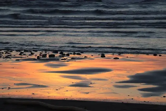 新屋濱海林蔭沙洲 (西濱公路) - 夕陽 - 沙灘