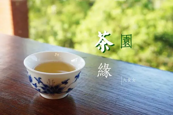 [台北旅遊-貓空] 台北市鐵觀音包種茶研發推廣中心☀ 走，我們上貓空泡茶吧！♢台北市限定料理產地小旅行♦ 台北旅遊/台北貓空旅遊/貓空茶園/貓空泡茶/台北茶體驗活動/台北文山區