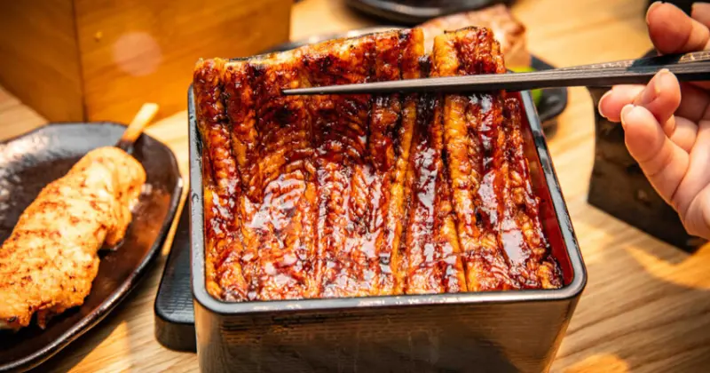 南港無刺鰻魚飯霸主！板前屋炭烤鰻魚飯必吃，脆皮白燒鰻魚飯創始店。