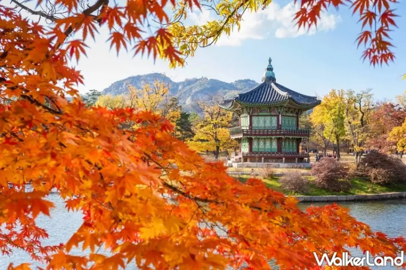 華航全航線65折限時搶！易遊網推香港3999元起、日韓賞楓與春節機票優惠同步登場。