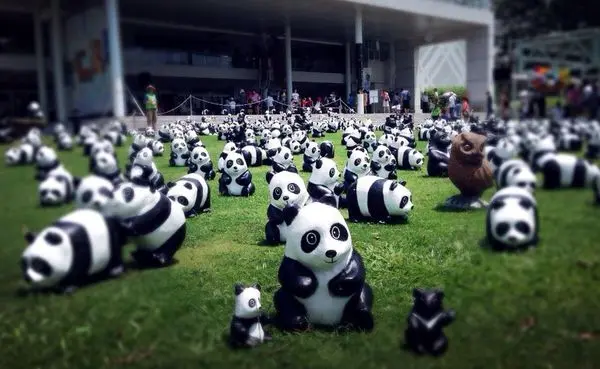 全台 ▉紙貓熊展。2014年紙貓熊展最新展出地點、活動訊息