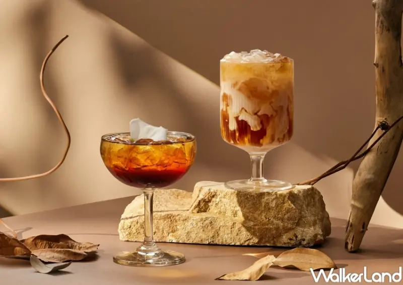 珍煮丹免費喝！珍煮丹新品「冬茶花」開喝，教你珍煮丹免費喝 珍奶免費喝。