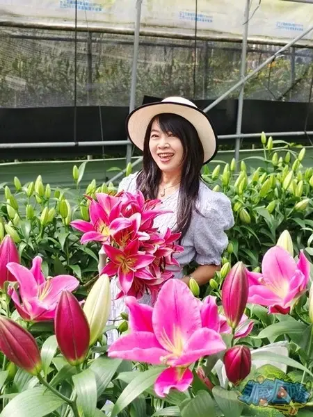 活動分享【2025阿里山百合花季】秋日浪漫的嘉義阿里山賞花之