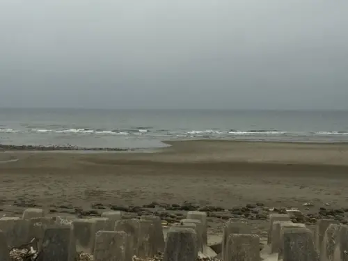 苗栗通霄白沙屯