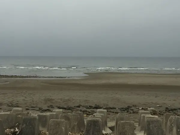 苗栗通霄白沙屯