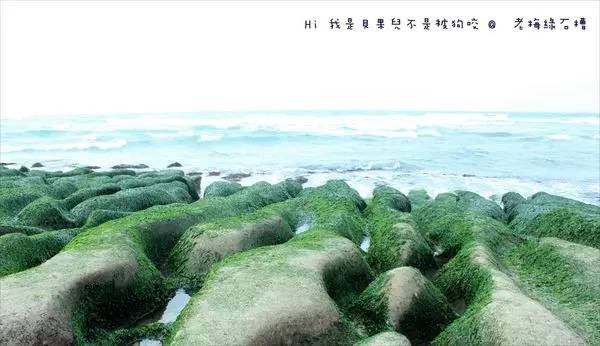 【北海岸景點推薦】老梅綠石槽，猶如來到綠翡翠王國♥♥季節限定美景♥♥