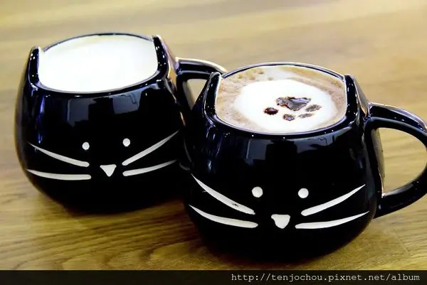 花花，甲飽沒【台北食記】松山 喵吧咖啡廳 貓咪主題餐廳 網路+插座+不限時