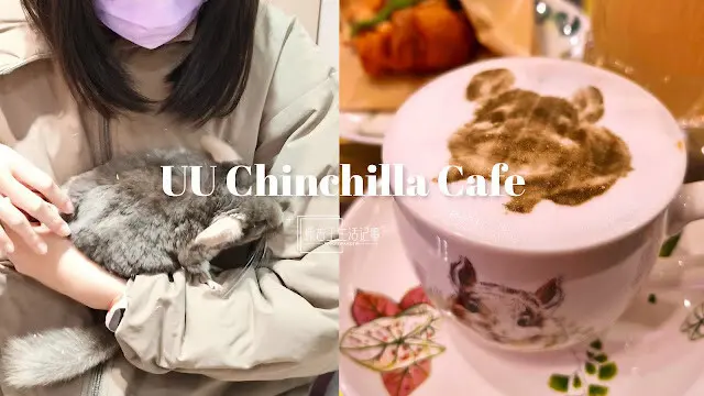 一秒飛入宮崎駿世界！台北南港悠悠龍貓咖啡廳：龍貓陪吃超療癒、拉花拿鐵超好拍(2025菜單/開箱片)