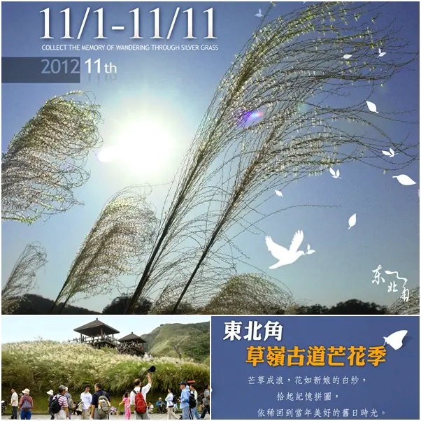 翻滾吧！微醺芒花遍遍開滿草嶺古道囉！