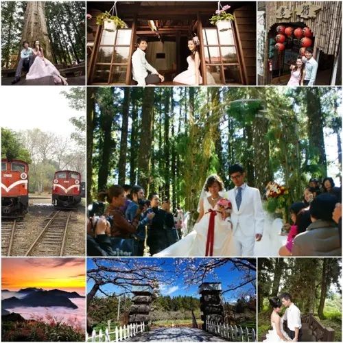 阿里山神木下婚禮 有夠浪漫！