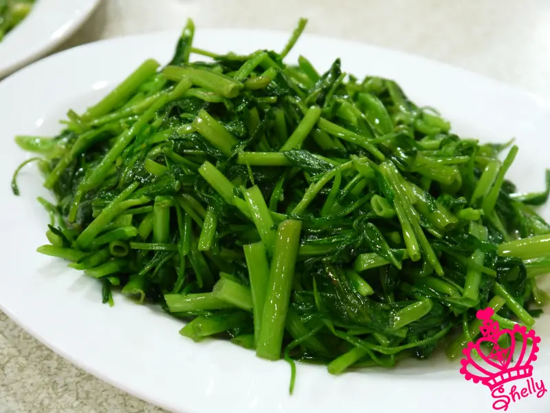 ❤新北市❤ 藥膳雞湯好喝的台灣山豬城 ⊙08Jul12⊙