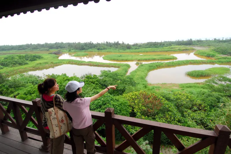 無尾港水鳥保護區