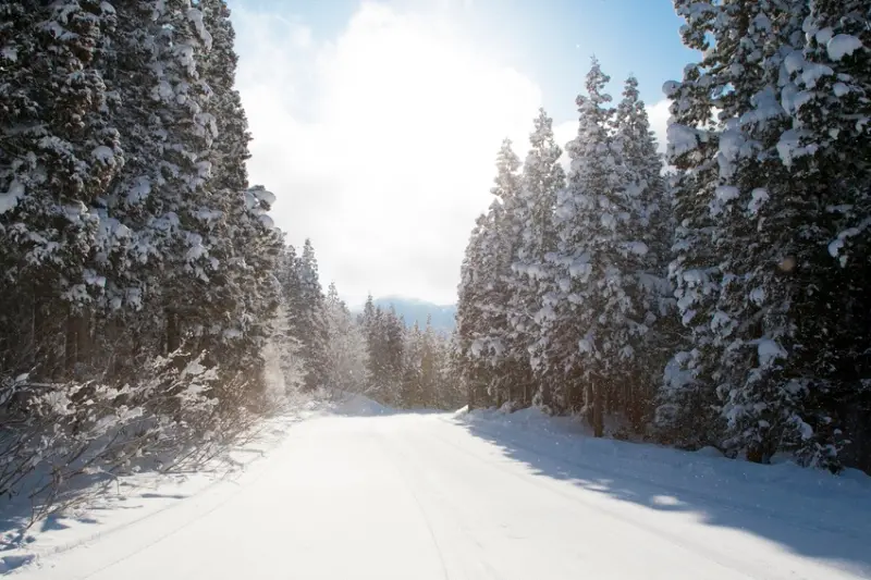 赤倉温泉滑雪場