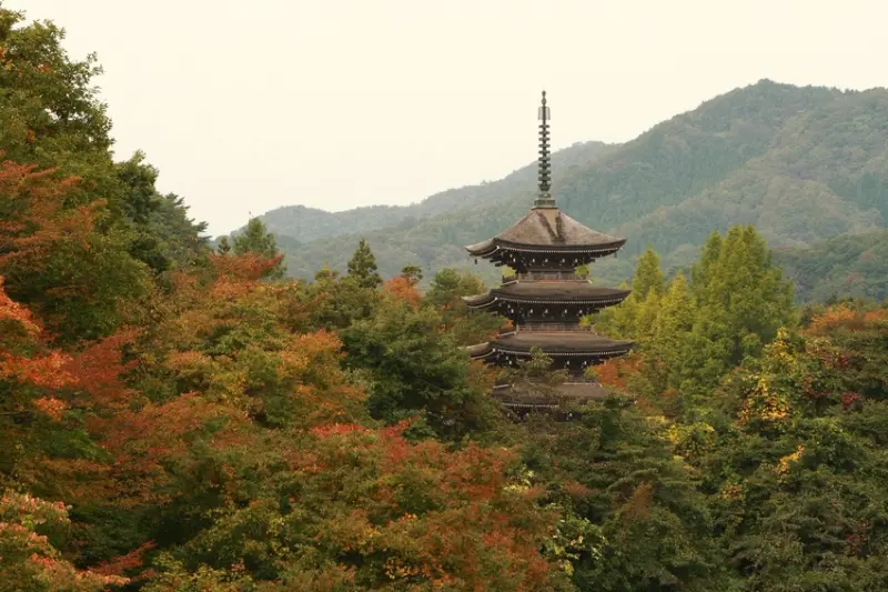 定義如来 西方寺