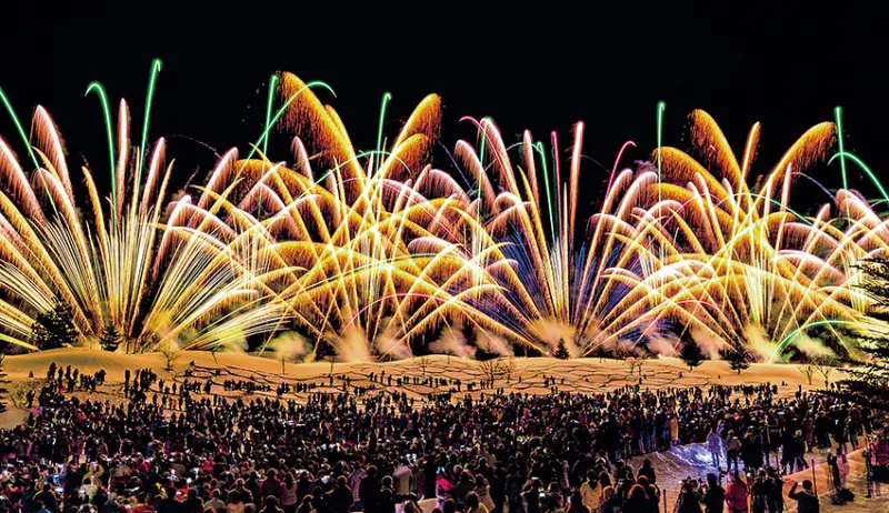 Gift for Frozen Village2020