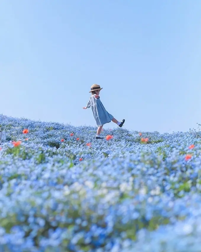 大阪まいしまシーサイドパーク