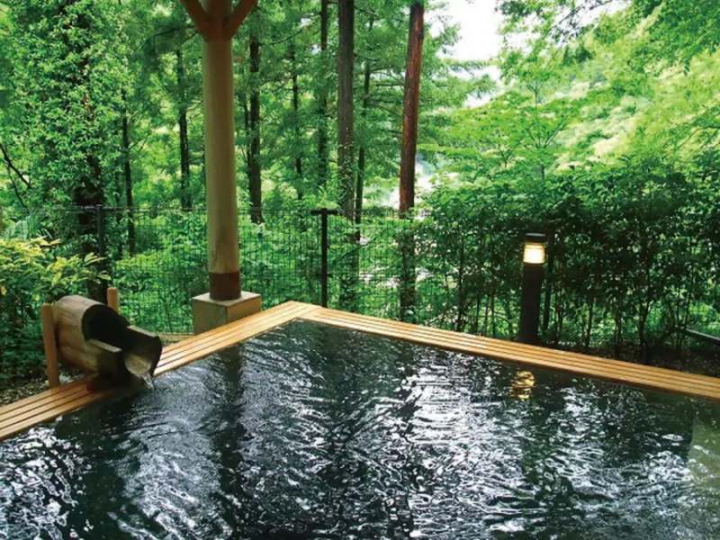 奥多摩温泉もえぎの湯