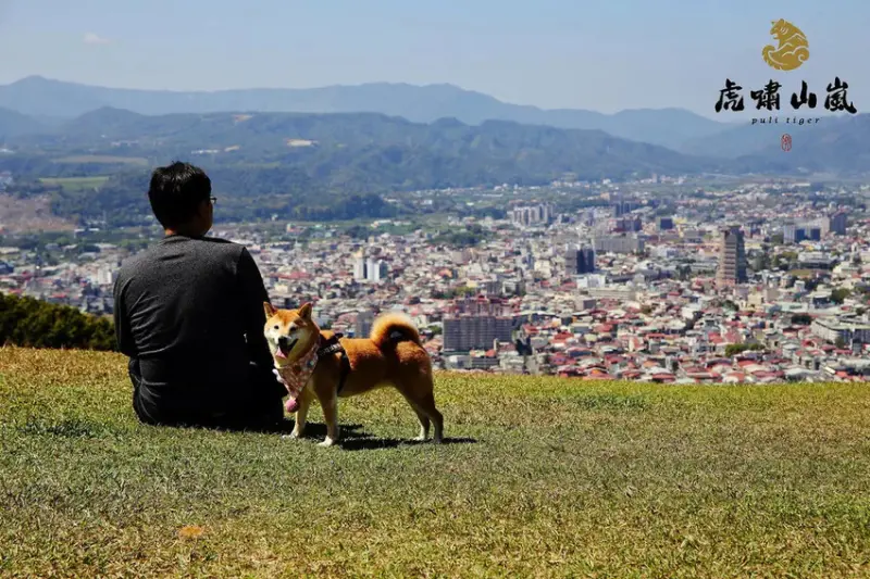 南投埔里超推薦景觀餐廳！虎嘯山嵐-厲害玻璃屋咖啡廳，山景第一排遼闊視野，180度絕美的視角，無敵大草坪可以讓毛孩盡情跑〜