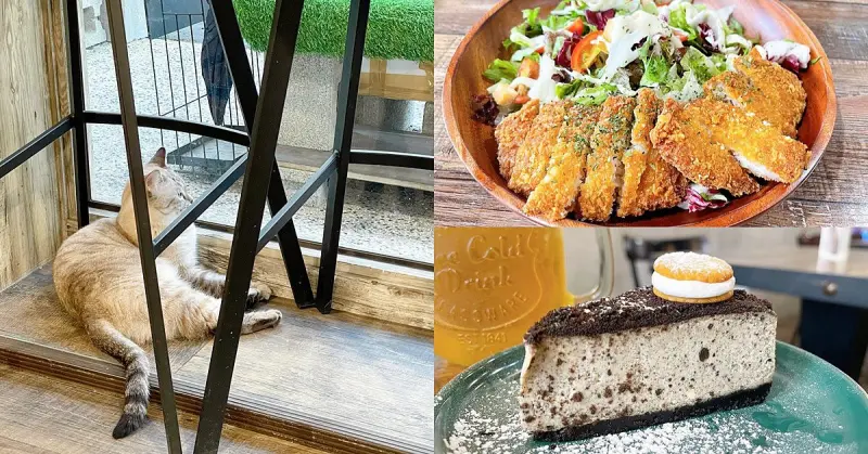 森歐，台中勤美附近義式平價早午餐，披薩/義大利麵/燉飯/蛋糕/下午茶，有貓咪和鴨子的寵物友善餐廳 - Cyndi loves享食天堂