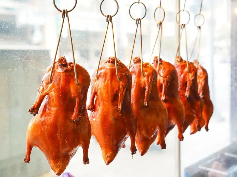 印月創意設計馬可波羅宴